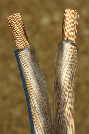 Copper Wire.jpg